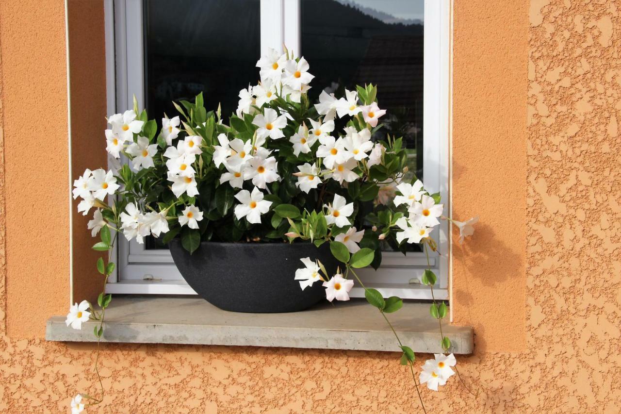 Gite Les Cimes Ла Брес Екстериор снимка